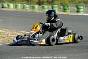 DSC_7242 copie